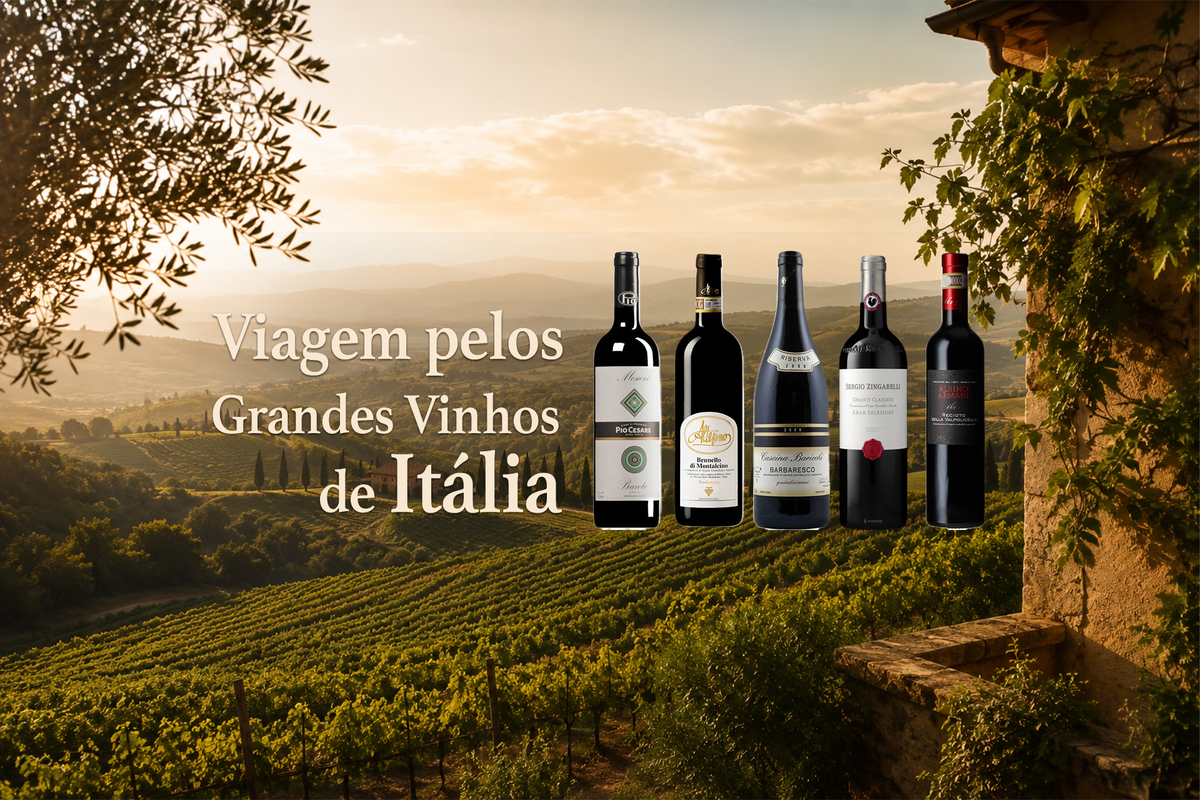 Viagem pelos Grandes Vinhos de Itália: Dez Produtores de Referência - Vinogrande