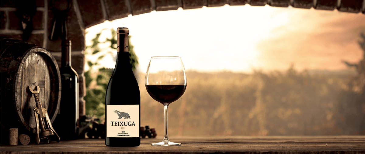 La excelencia de los vinos del Dão - Vinogrande