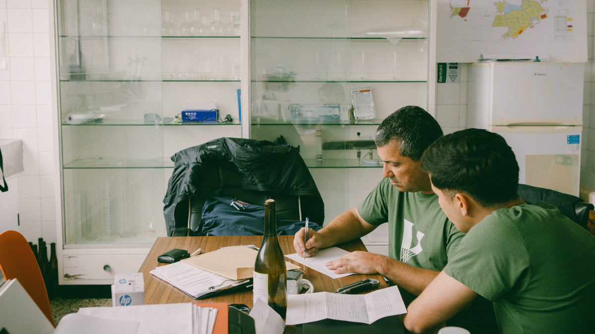 Almanua 2024: The Long-Awaited Debut of Manuel and Luís Cerdeira - Vinogrande