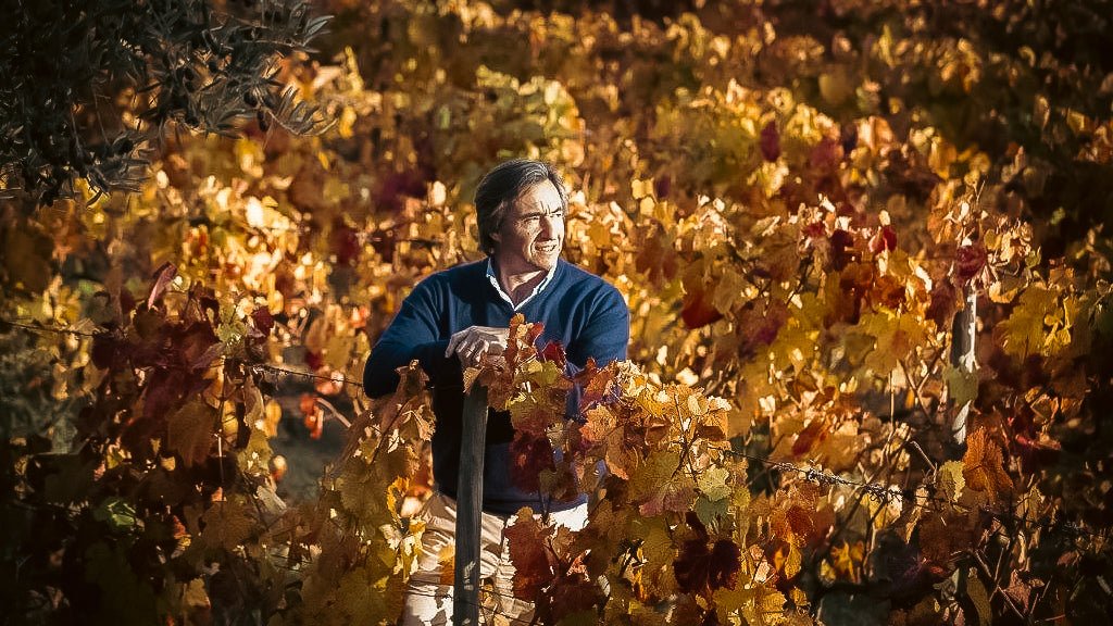 Jorge Moreira: 20 años revolucionando el Douro con pasión y discreción - Vinogrande
