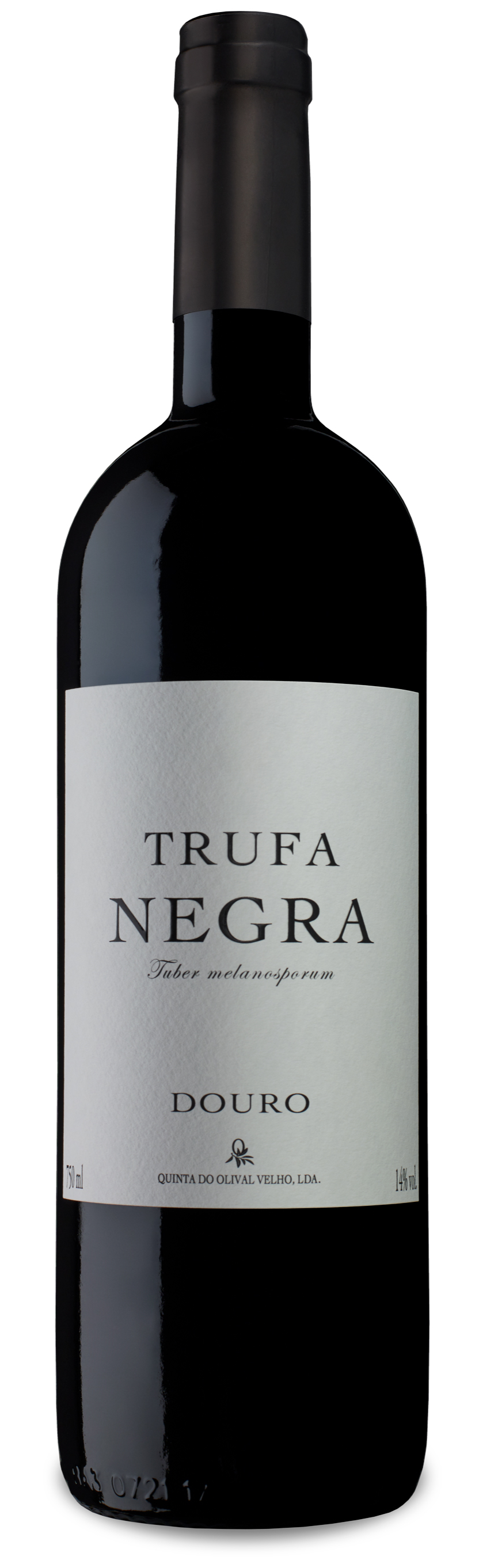 Black Truffle 2019 Magnum