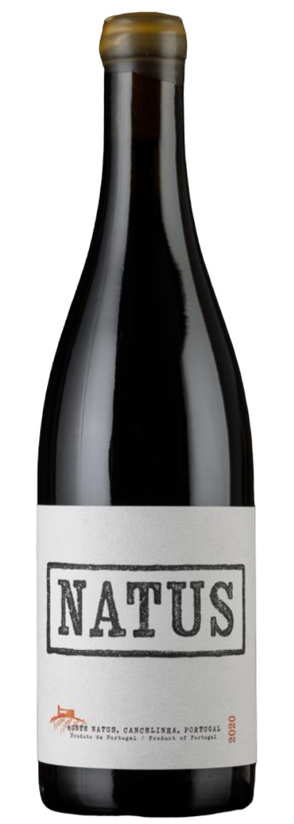 Natus Red 2022
