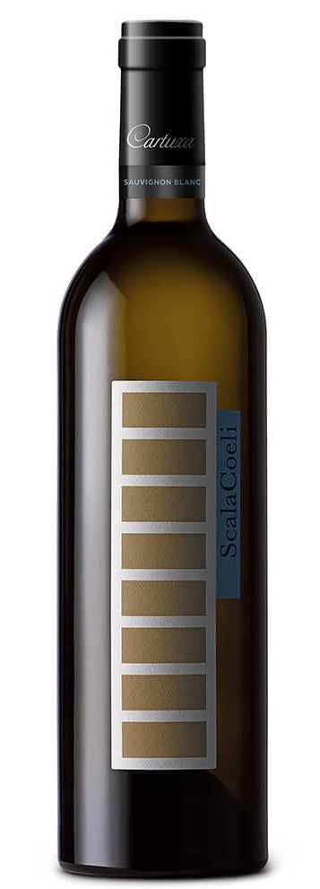 Scala Coeli Sauvignon Blanc Branco 2022