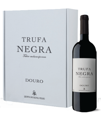 Trufa Negra Conjunto de 3 gfs