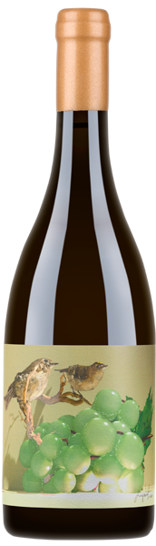 Soalheiro Alvarinho Alvorene 2021 - Um Alvarinho ousado, inspirado no estilo Amarone