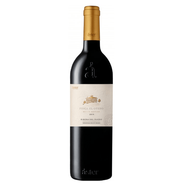 Aster Finca El Otero 2019 Aster Finca El Otero 2019