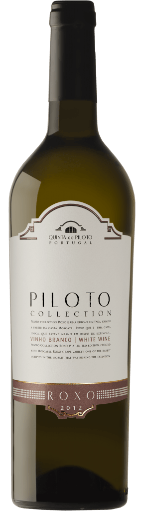 Piloto Collection Roxo Branco 2024 - Vinogrande