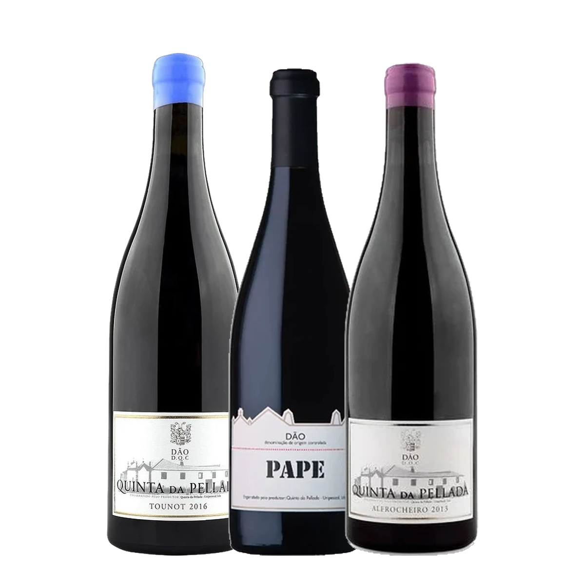 Quinta da Pellada Pack 3 Monocastas - Alfrocheiro, Baga e Tounot