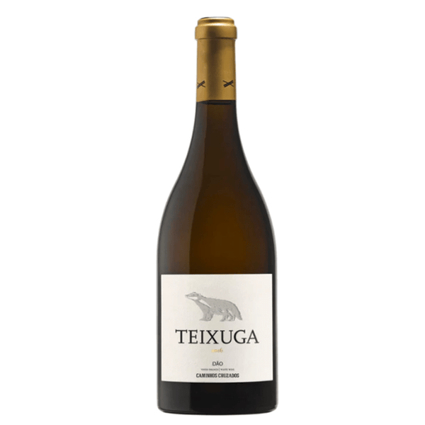 Teixuga White 2019 Teixuga White 2019