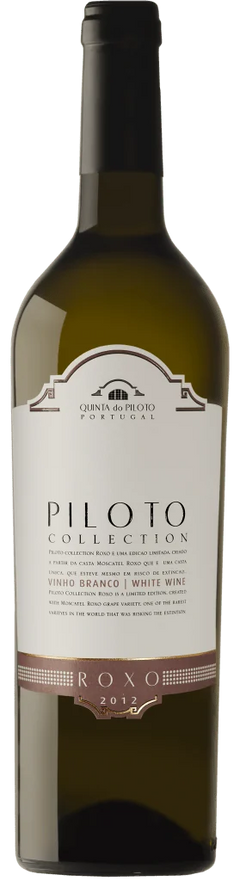 Piloto Collection Roxo Branco 2025 - Vinogrande