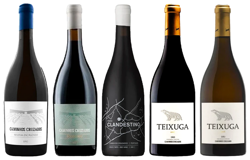 Vinhos Caminhos Cruzados: O Novo Dão - Vinogrande