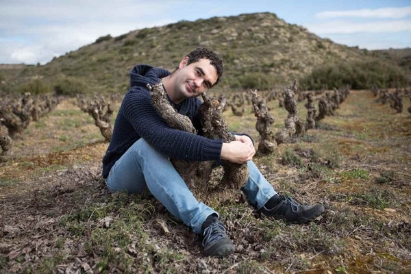 Oxer Bastegieta y sus vinos: un viaje de singularidad y pasión en Rioja Alavesa