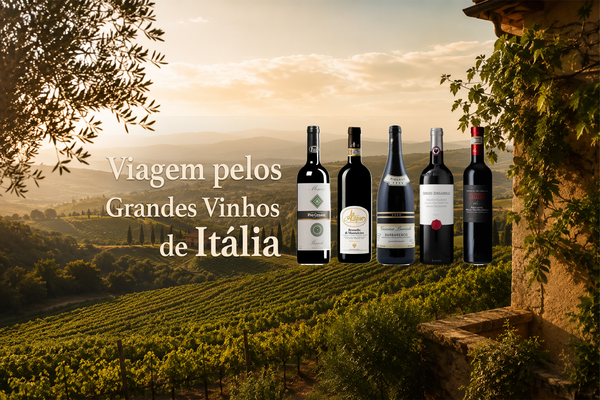 Viagem pelos Grandes Vinhos de Itália: Dez Produtores de Referência