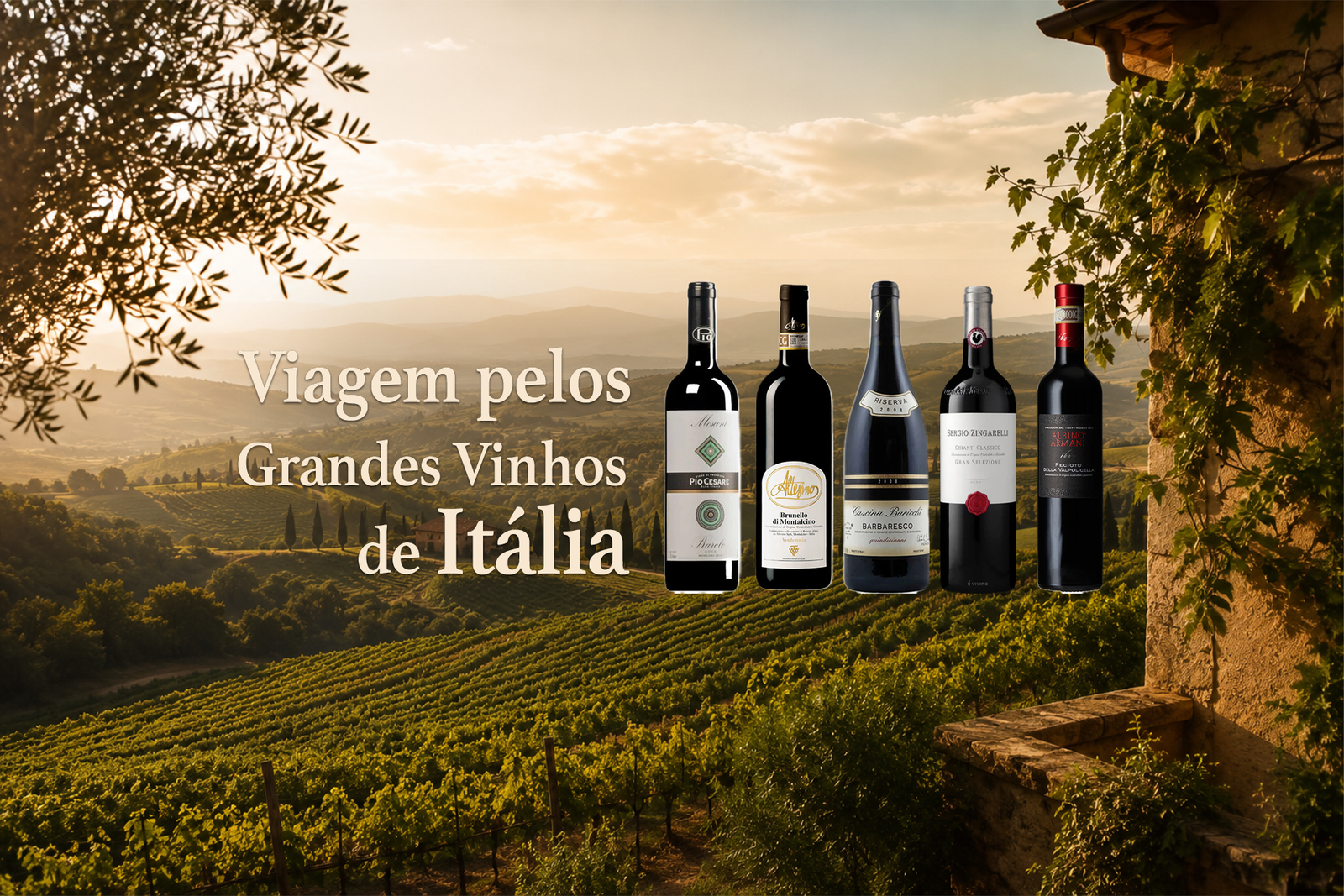 Viagem pelos Grandes Vinhos de Itália: Dez Produtores de Referência