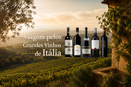 Viagem pelos Grandes Vinhos de Itália: Dez Produtores de Referência