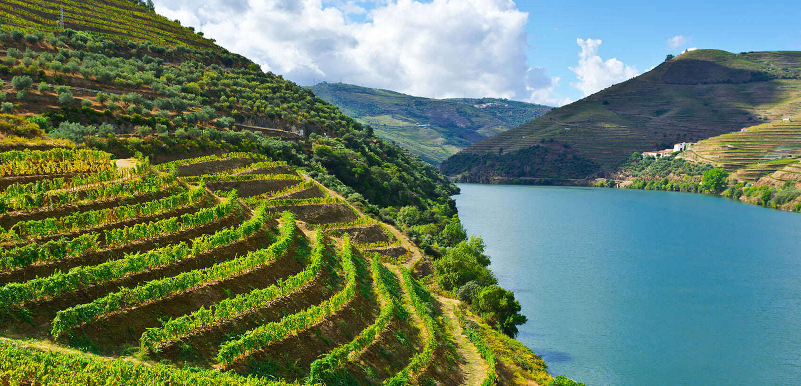 As Maravilhas do Douro Superior - Vinogrande