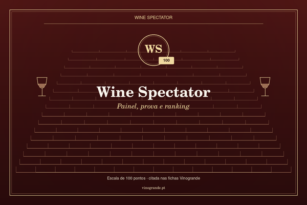 Wine Spectator: painel, prova e os pontos WS na Vinogrande