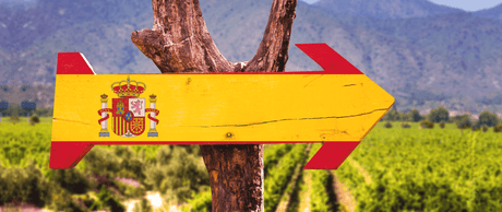 Espanha 2016: Um Ano Memorável - Vinogrande