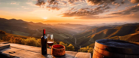 O Que os Produtores Não Contam Sobre a Produção de Vinho - Vinogrande