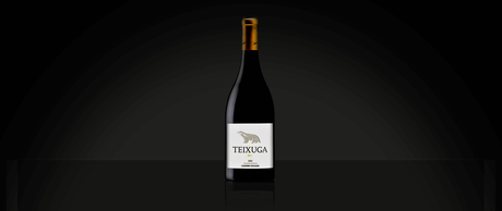 Vinho da Semana: Teixuga Tinto 2017 - Vinogrande