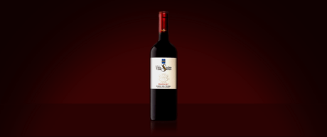 Vinho da Semana: Viña Sastre Crianza 2020 - Vinogrande