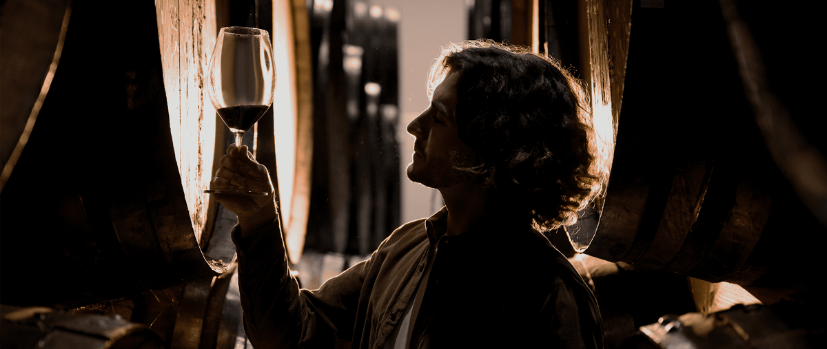 Oportos Colheita: tesoros ocultos que merecen reconocimiento - Vinogrande