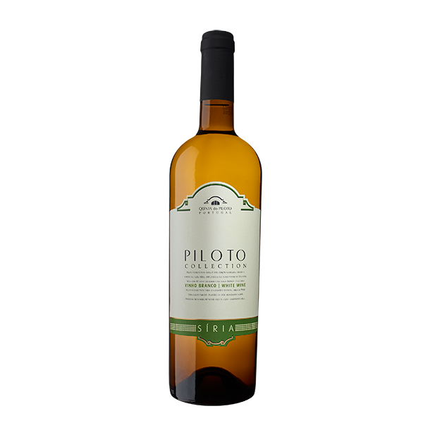 Quinta do Piloto Collection Síria Branco 2022 - Vinogrande