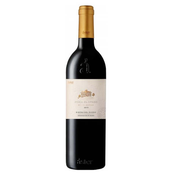 Aster Finca El Otero 2019
