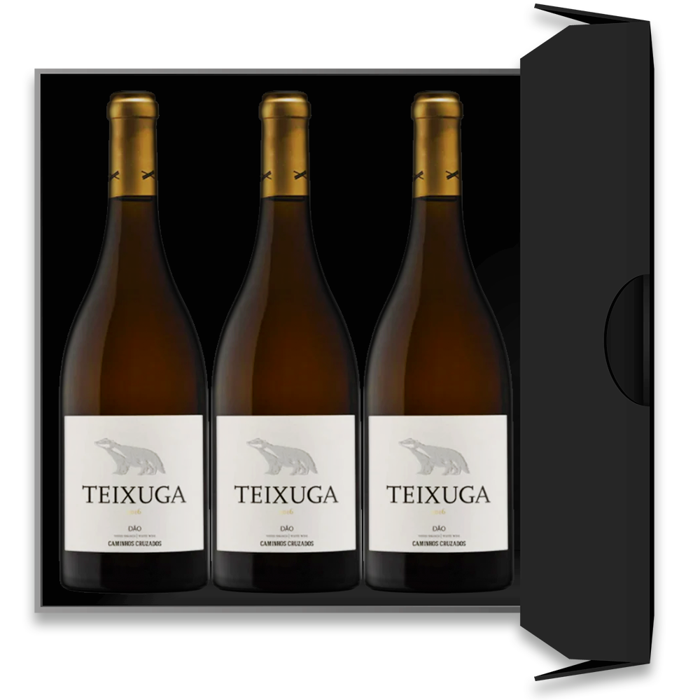 Conjunto de 3 Garrafas de Teixuga Branco 2019 - Vinogrande