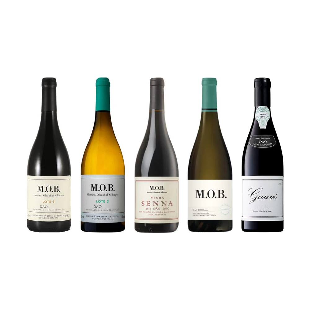 Projeto MOB -  Moreira, Olazabal & Borges - Vinogrande
