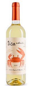 Arvad Uca Violinista Branco 2024 - Vinogrande