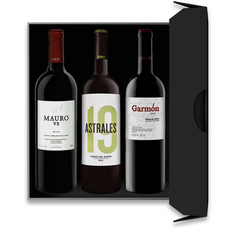 Conjunto de Mauro VS 2020, Astrales 2019 e Garmón 2019 - Vinogrande