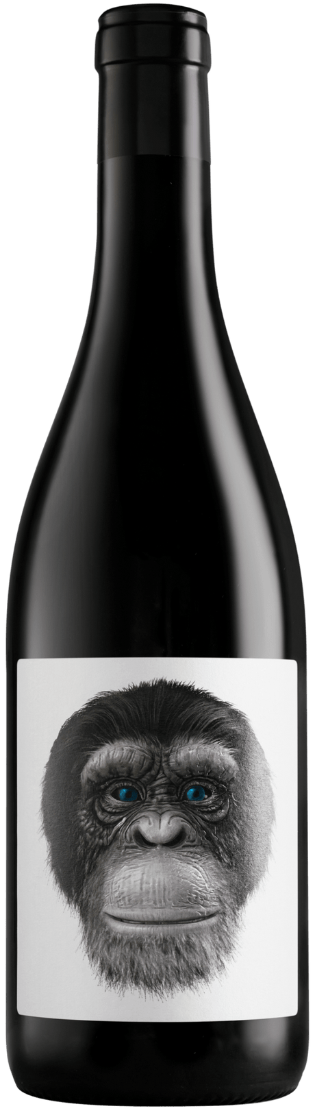 Casa Rojo Clon 98 Tempranillo 2021 - Vinogrande