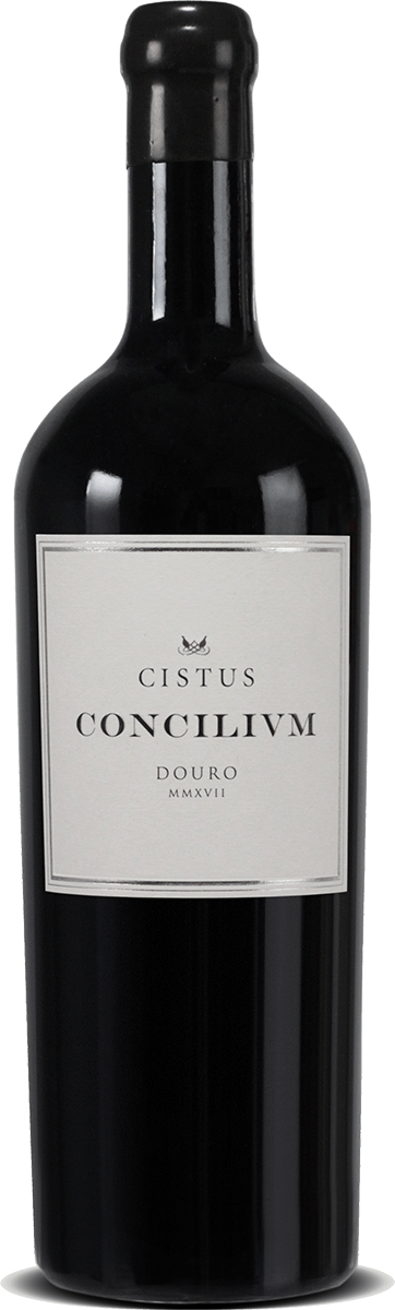 Cistus Concilium Douro DOC 2018 - Vinogrande