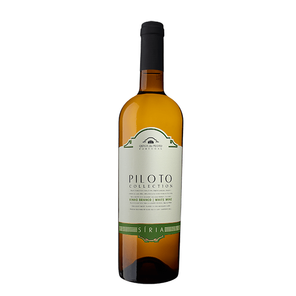 Quinta do Piloto Collection Síria Branco 2025 - Vinogrande