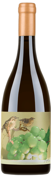 Soalheiro Alvarinho Alvorene 2021 - Um Alvarinho ousado, inspirado no estilo Amarone - Vinogrande