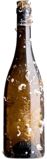 Attis Mar 2023 - Vinogrande
