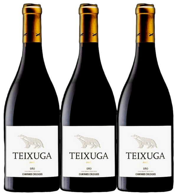 Conjunto de 3 Garrafas de Teixuga Tinto 2018 - Vinogrande