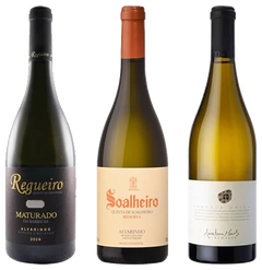 Explorando a Excelência da Casta Alvarinho - Vinogrande