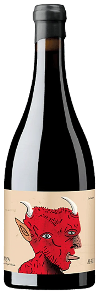 Oxer Bastegieta Ahari 2022 - Vinogrande