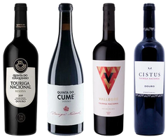 Seleção Touriga Nacional - Vinogrande