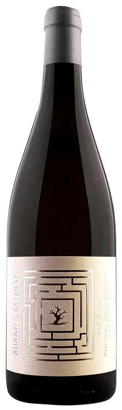 Susana Esteban Procura Branco 2022 - Vinogrande