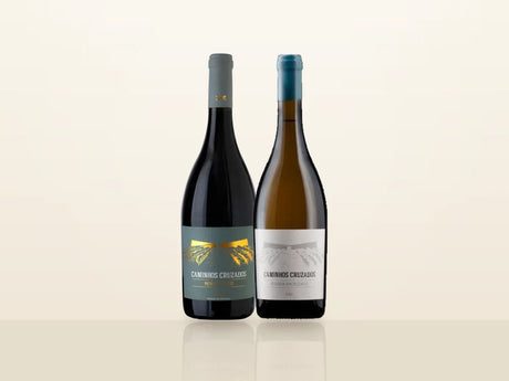Pack Natal Caminhos Cruzados (Dão): Reserva Tinto e Reserva Encruzado, lado a lado