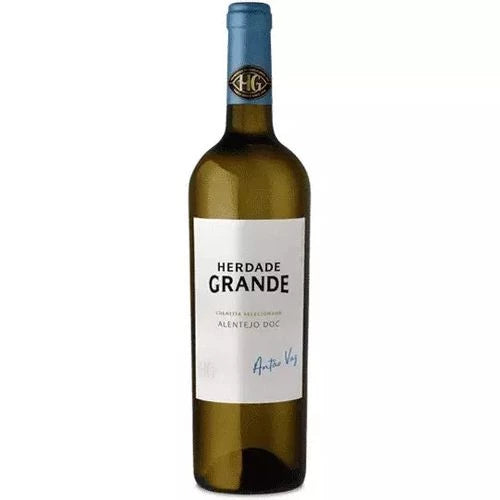 Herdade Grande Antão Vaz Branco 2020 - Vinhos Portugueses