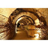 Predicador Branco 2019 - Vinogrande