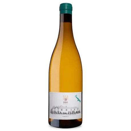 Quinta da Pellada Encruzado Branco 2018 - Vinhos Portugueses